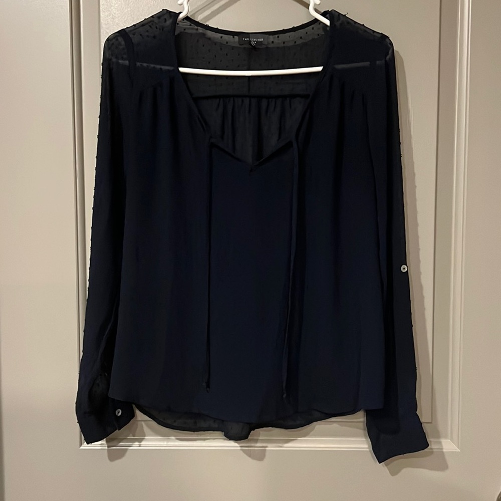 The Limited Blouse